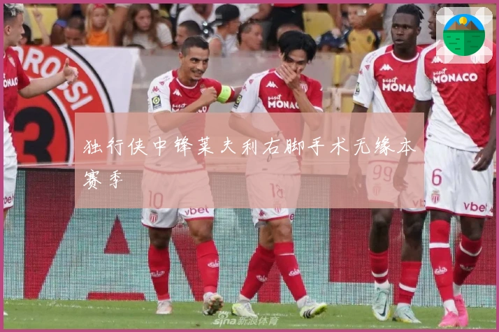 独行侠中锋莱夫利右脚手术无缘本赛季