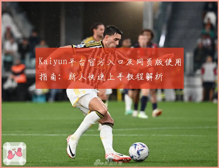 Kaiyun平台官方入口及网页版使用指南：新人快速上手教程解析